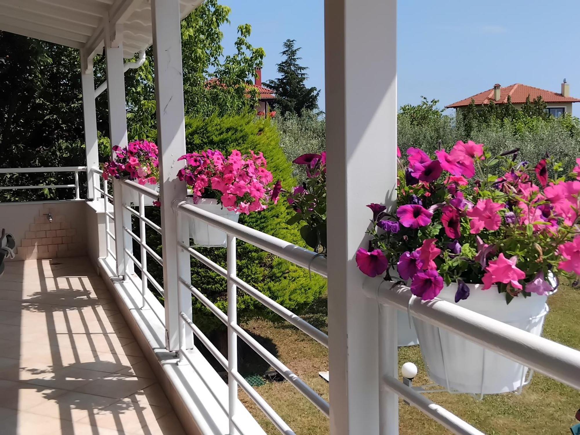 Tammy'S Garden House Villa Leptokarya  Exterior photo