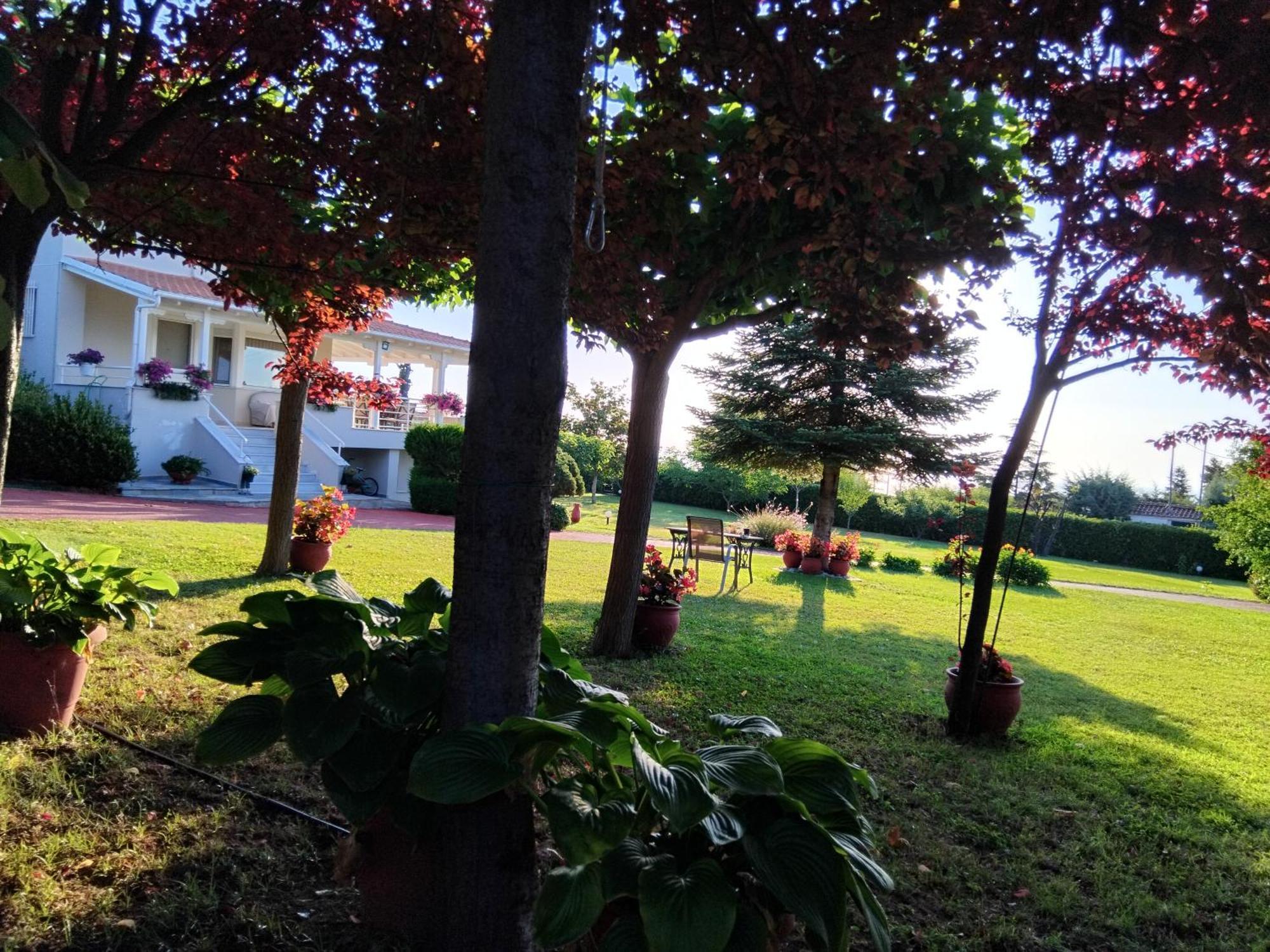 Tammy'S Garden House Villa Leptokarya  Exterior photo