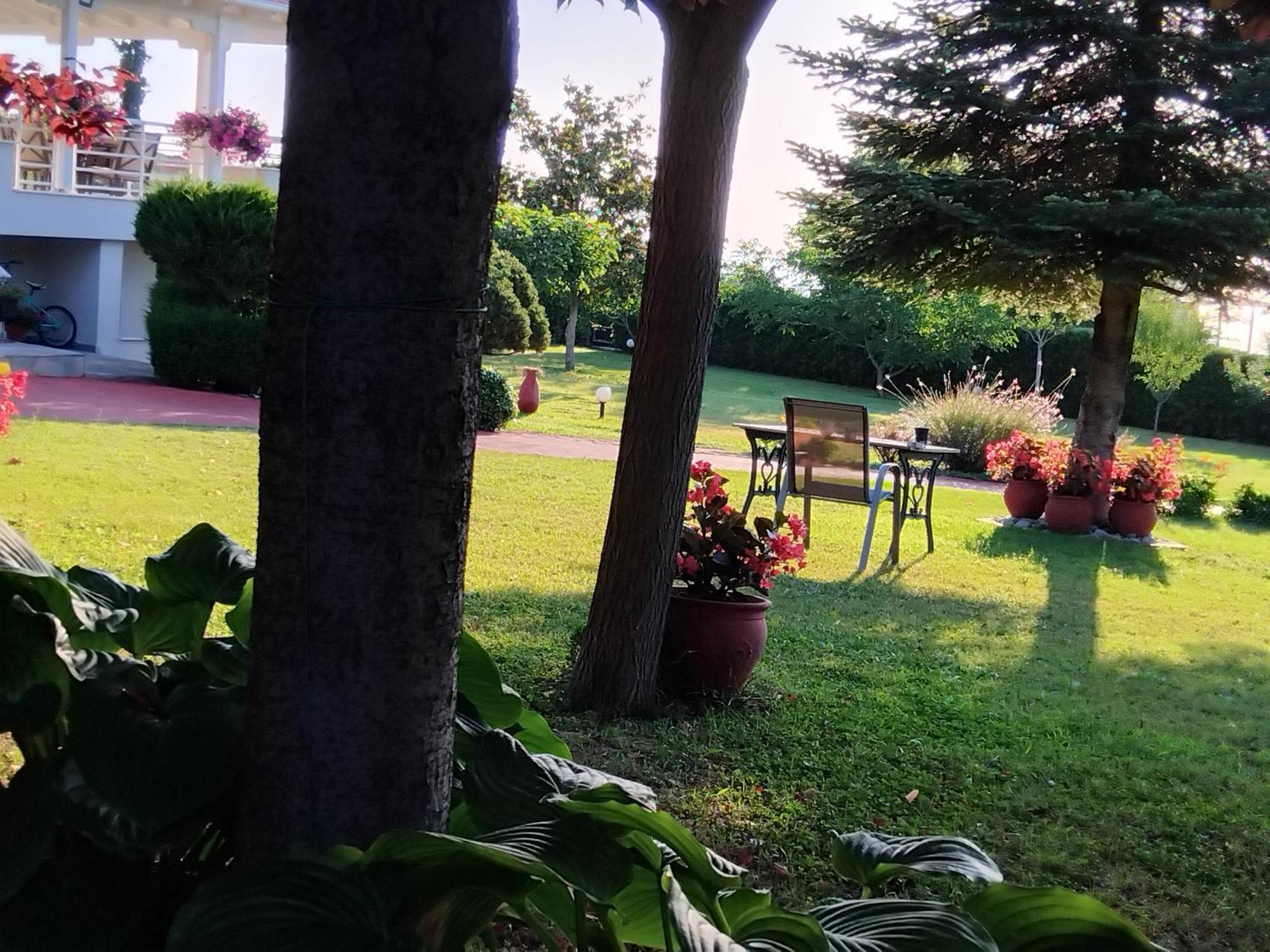 Tammy'S Garden House Villa Leptokarya  Exterior photo